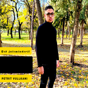 Petrit Vullkani - Beb Faleminderit