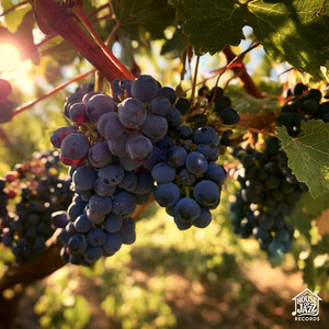 Grenache by Jazzfield, Nétra, Erwo