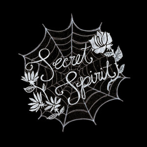 Fault Lines by Secret Spirit