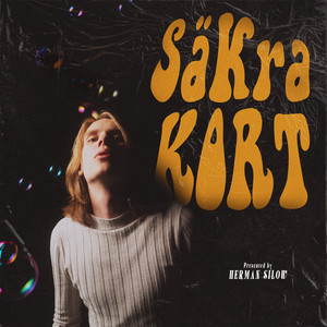 Säkra kort by Herman Silow