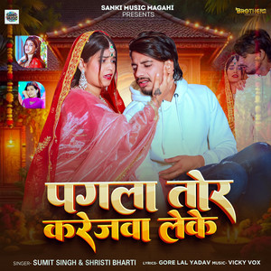 Pagla Tor Karejwa Leke by Sumit Singh, Srishti Bharti