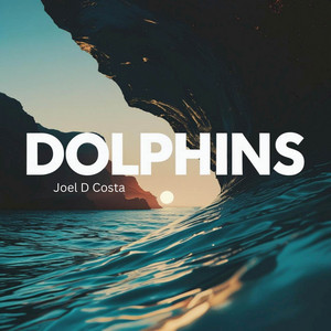 Dolphins by Joel D Costa
