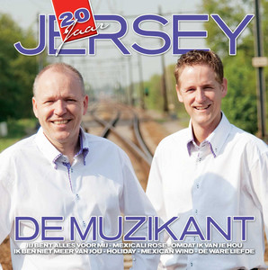 20 jaar De Muzikant album