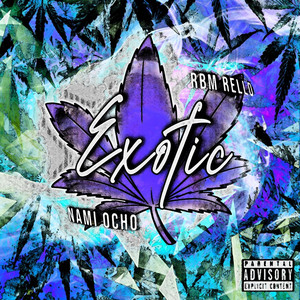 Exotic by Nami Ocho, Rbm Rello