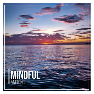 # 1 Album: Mindful Ambience album