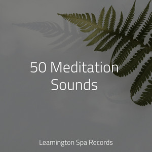 50 Meditation Sounds album