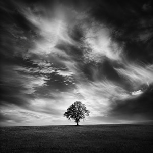 Dreams in Mind by Sakuno Umi