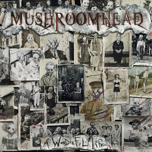 A Wonderful Life album