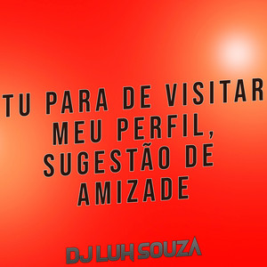 Dj Luh Souza - Tu para de Visitar Meu Perfil, Sugestão de Amizade