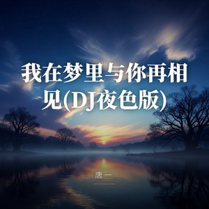 我在梦里与你再相见(DJ夜色版) by 唐一