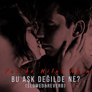 Bu Aşk Değilde Ne? - Slowed & Reverb - song and lyrics by Mustafa ...