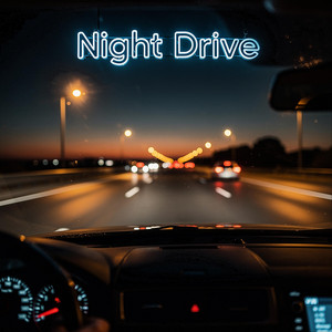 Night Drive by Halldén