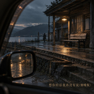 想你的话我再没有说(烟嗓版) by 新雨YunYu