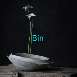 Bin
