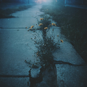 iloveitiloveitiloveit by Drown in Daylight