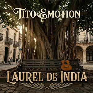 Laurel De India by Tito Emotion