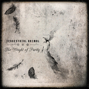 The Weight of Purity by Terrestrial Animal