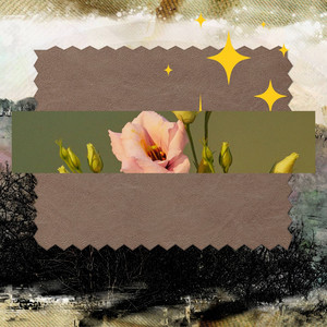 Trumpet Bossa - Background for Coffee Afternoon album