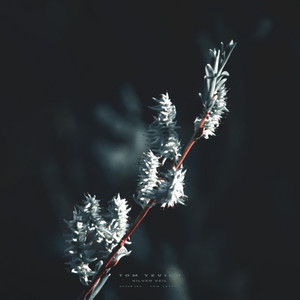 Pale Memory by Tom Yevich