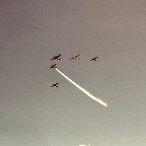 Dogfight by Sterling Gavinski