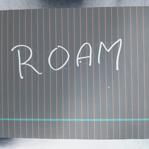 ROAM