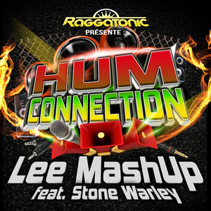 Hum Connection - Edit Mix by Lee Mashup, Stone Warley