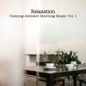 Relaxation: Calming Ambient Morning Music Vol. 1 album