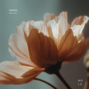 Trying by Arda Leen