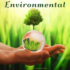 Kyrylo Zaplotynskyi — Environmental