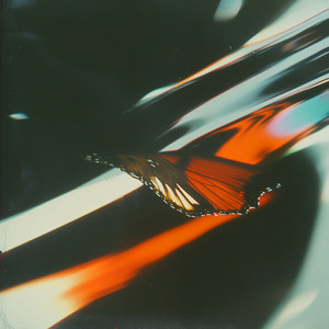 Hang - Peder Mannerfelt Remix by Daphni, Peder Mannerfelt