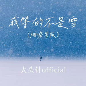 我等的不是雪 - 烟嗓男版 by 大头针official