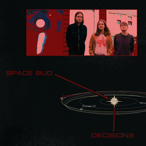 Decisions by Space Bud
