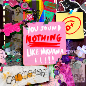 You Sound Nothing Like Nirvana by Cat Crash