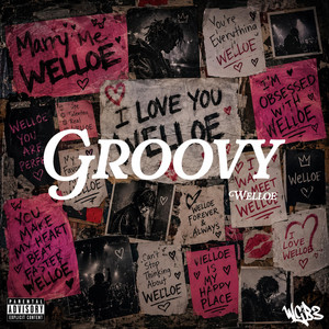 Groovy by Wellœ
