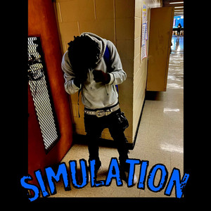 SIMULATION