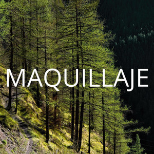 MAQUILLAJE by LOKASO