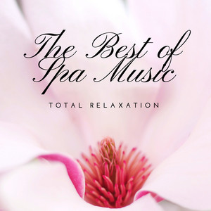 The Best of Spa Music: Total Relaxation, Ultimate Wellness Center for Sleep and Massage, Pure Nature Sounds Inner Peace album