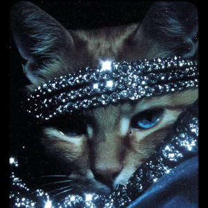 selfish by Stitch Rox
