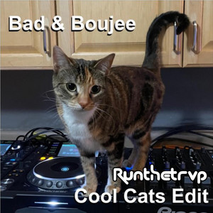 Bad and Boujee - Runthetrvp Cool Cats Edit by Runthetrvp