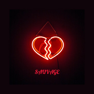 Portada de Sauvage