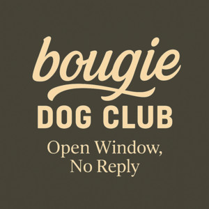 Open Window, No Reply