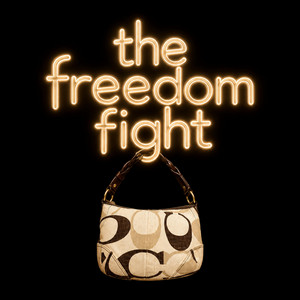 The Freedom Fight by Sterling Leraas