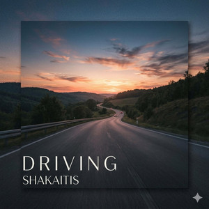 Driving by Shakaitis