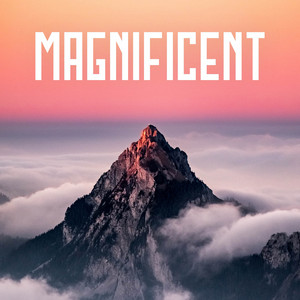 Pufino - Magnificent