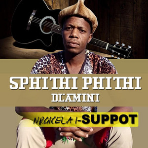 Sphithiphithi Dlamini - Mama Wami
