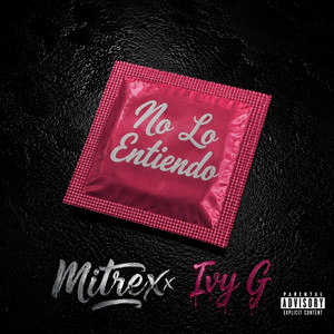 No lo entiendo by Mitrex, Ivy G