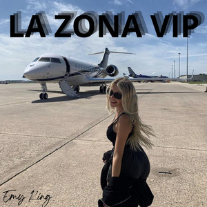 LA ZONA VIP by Dominique Dj