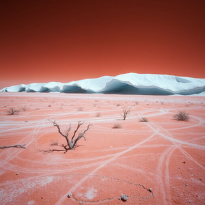 Dancefloor by Magnus Langley