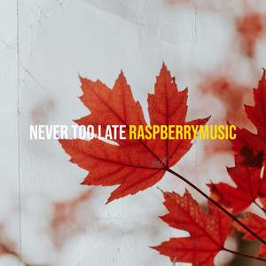 raspberrymusic - Never Too Late