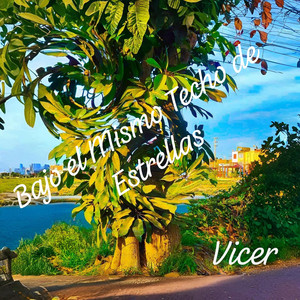 Bajo el Mismo Techo de Estrellas by Vicer